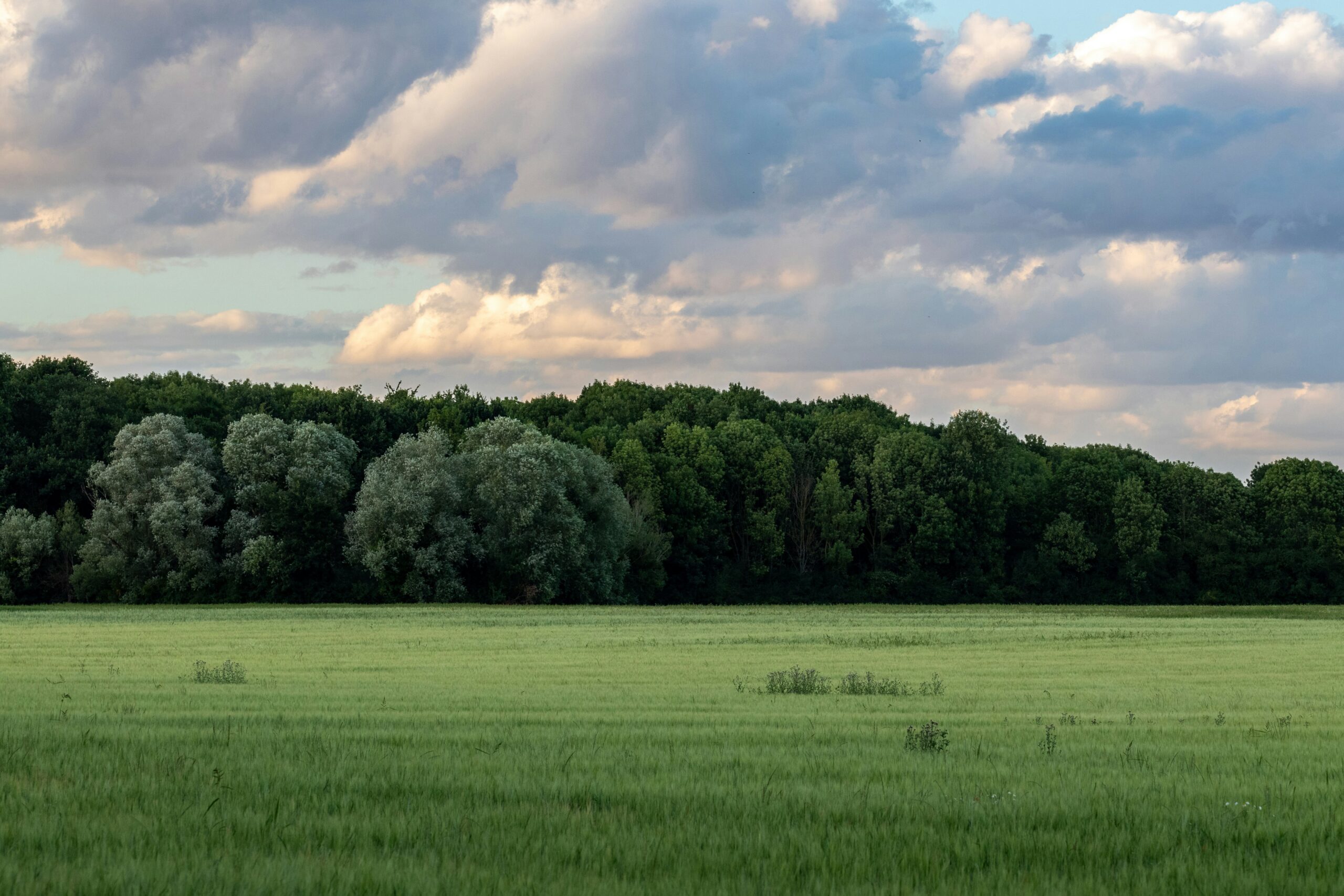 Hello World Featured Image